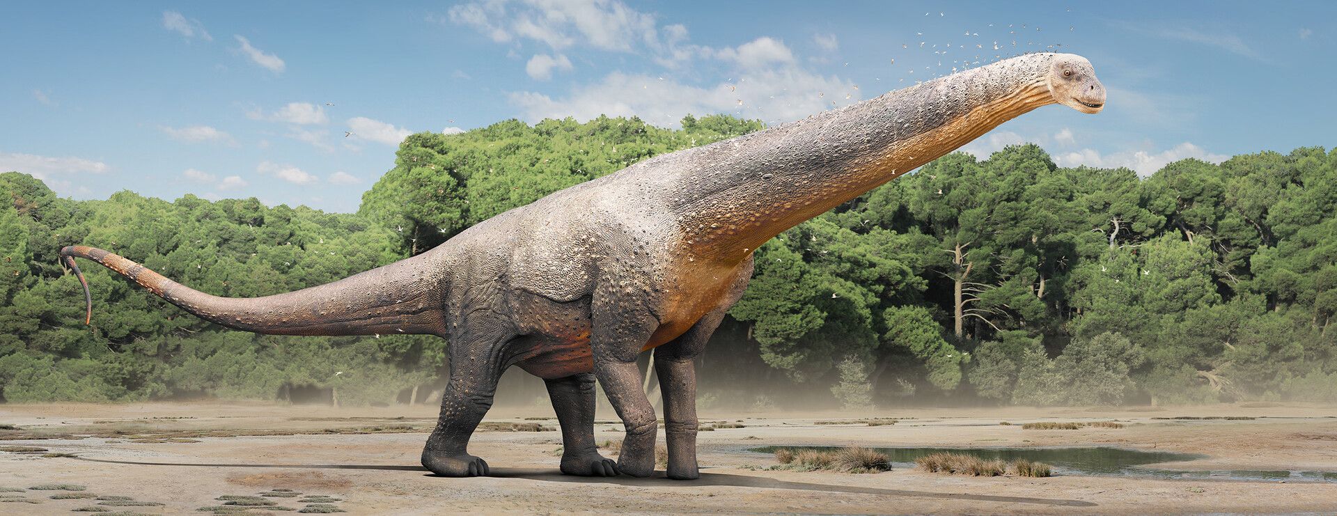 Argentinosaurus