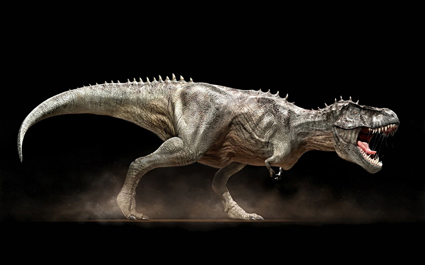 Tiranosaurio Rex