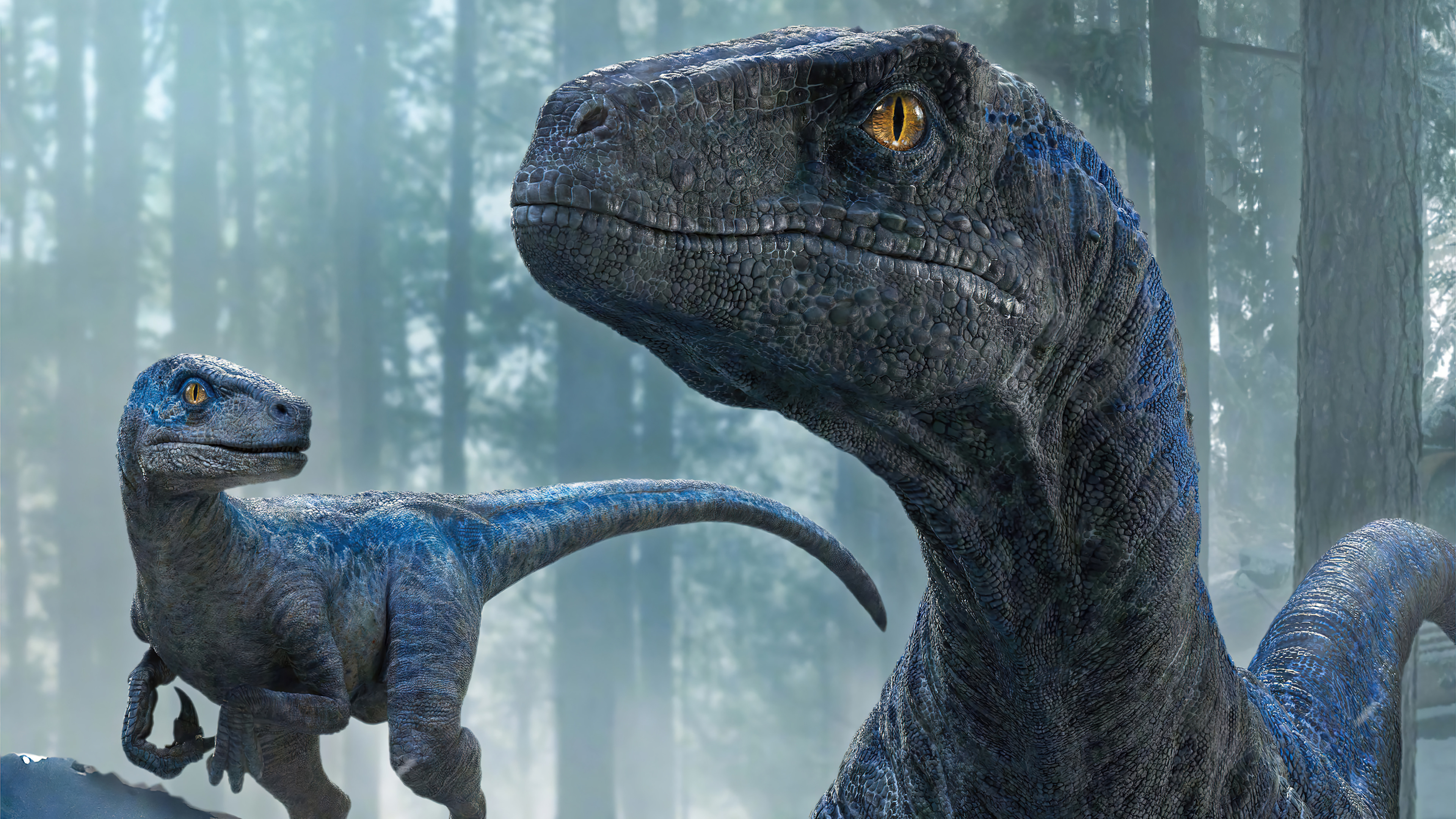 Velociraptor